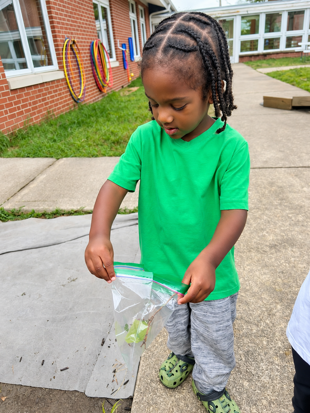Child examining collected leaves and twigs during an outdoor discovery activity