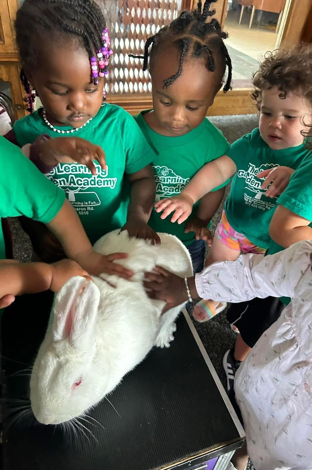 Children gently observe a rabbit during a farm visit.