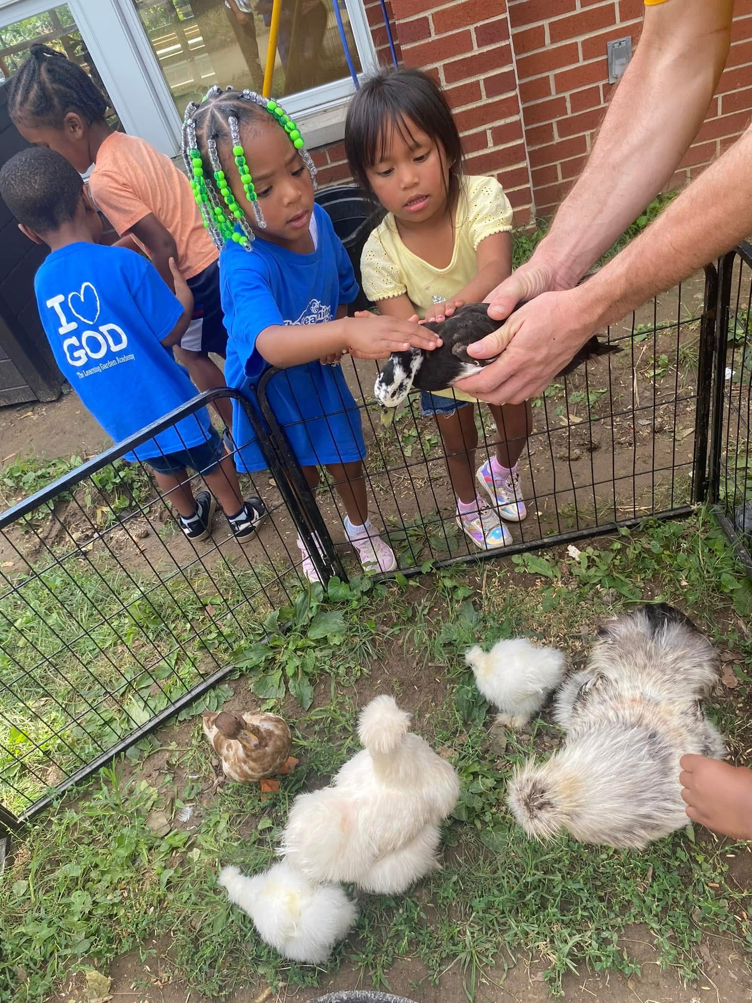 Children observe chickens together during a farm visit.