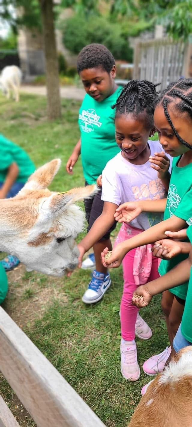Children meet a goat during an outdoor farm visit.