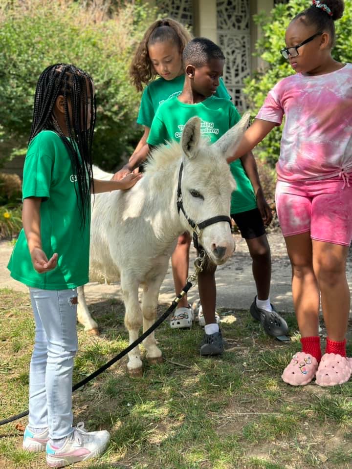 School-age children gently pet a small white pony during an outdoor farm visit.