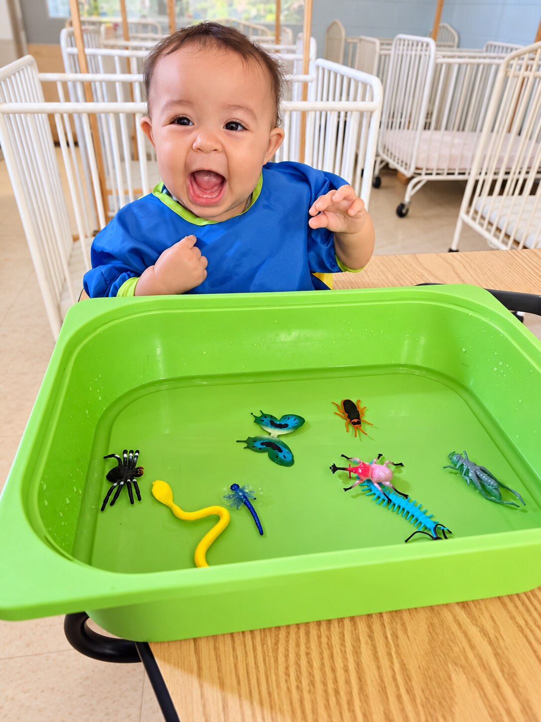 An infant explores a sensory activity with hands and eyes.